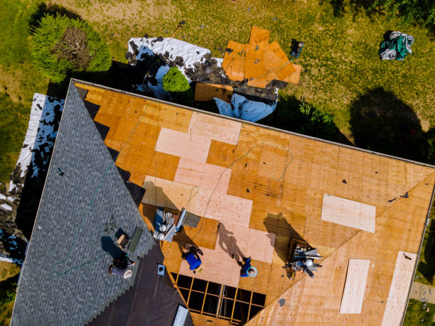 Best Storm Damage Roof Repair  in Herrin, IL